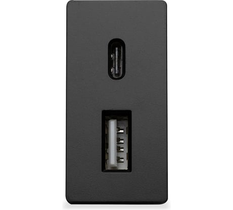 Розетка Vell черная, 1/2, USB A + USB С разъем, 4 А, 5 В, модуль, 1379007