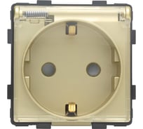 Розетка Vell золотая, электрическая с защитной крышкой, 16 А, 54x54 мм, 250 В, модуль, {GD-EUW} 1379025
