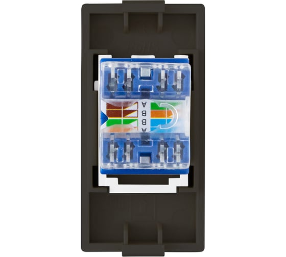 Розетка Vell черная, 1/2, RJ CAT6, модуль, {BK-1/2-RJ} 1379015