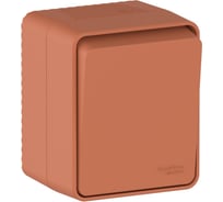 Выключатель 1-клавишный кнопочный Systeme Electric AtlasDesign Profi IP54, 10 АХ, открытой установки, Терракотовый ATN547015