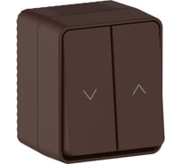 Выключатель 2-клавишный для жалюзи Systeme Electric AtlasDesign Profi IP54, 10 АХ, открытой установки, Коричневый ATN546019