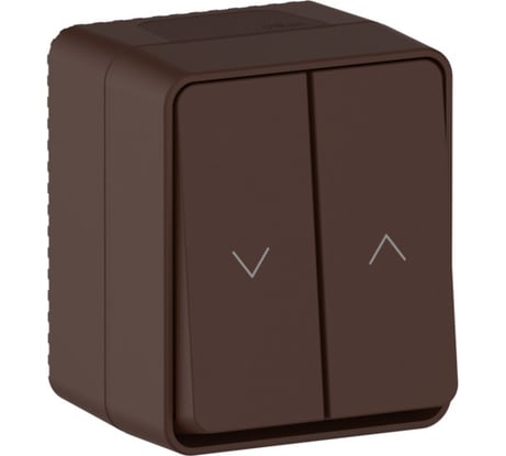 Выключатель 2-клавишный для жалюзи Systeme Electric AtlasDesign Profi IP54, 10 АХ, открытой установки, Коричневый ATN546019