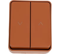 2-клавишный выключатель для жалюзи Systeme Electric ATLASDESIGN PROFI IP54 О/У сх.4, 10А, ТЕРРАКОТОВЫЙ ATN547019