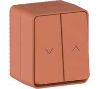 Выключатель 2-клавишный для жалюзи Systeme Electric AtlasDesign Profi IP54, 10 АХ, открытой установки, Терракотовый ATN547019