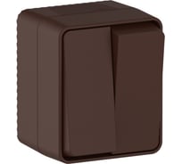 Выключатель 2-клавишный Systeme Electric AtlasDesign Profi IP54, 10 АХ, открытой установки, Коричневый ATN546051