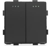 Выключатель Vell черный, проходной, двухклавишный, 16 А, 48x48 мм, 250 В, модуль 1379047