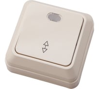 1-клавишный проходной выключатель АБК-СИЛА с подсветкой 10А "АЛЬТАИР" слоновая кость 1 шт 5400114