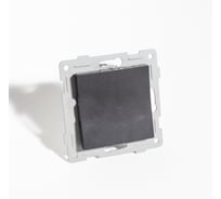 Заглушка SPL антрацит, серия BW 205325