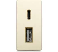 Розетка золотая, 1/2, USB A + USB С разъем, 4 А, 5 В, модуль, Vell 1379009