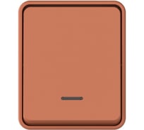 1-клавишный выключатель Systeme Electric ATLASDESIGN PROFI IP54 О/У, с подсветкой, сх.1а, 10АХ, ТЕРРАКОТОВЫЙ ATN547013