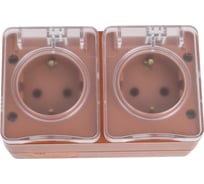 Розетка двойная Systeme Electric ATLASDESIGN PROFI IP54, О/У, с заземлением, со шторками, 16А, ТЕРРАКОТОВЫЙ ATN547026