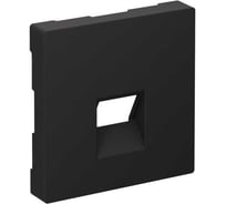 Накладка Systeme Electric ATLASDESIGN  для информационных функций типа Keystone, КАРБОН ATN001084