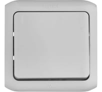 Выключатель кнопочный одноклавишный Legrand Quteo IP44, 6А, 250В, винтовые зажимы, накладной монтаж, серый 782335
