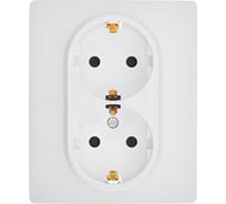 Розетка двойная с заземлением Legrand Daccord Inspiria со шторками, в сборе, 16А, 250В, винтовые зажимы, белый 673450