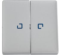Лицевая панель для выключателя двухклавишного с подсветкой Legrand Valena LIFE алюминий 755222