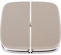 Клавиша Legrand Valena ALLURE Сл.кость 2-ая 755026