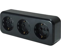 Розетка ООО "ОПТИКОМ ЭЛЕКТРИК" RA 16-343 трехместная с заземляющим контактом открытой установки, цвет черный 400215.00601.5