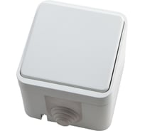 1-клавишный выключатель АБК-СИЛА 10А ОУ IP44 "ПЕГАС" IP44 белый 1 шт 5402201