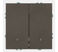 Выключатель 2-клавишный STEKKER c индикатором (механизм),, 250В, 10А, серия Эмили, RSW10-5102-09, антрацит, soft touch, 49916