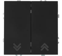 Выключатель 2-клавишный STEKKER самовозвратный (механизм),, 250В, 10А, серия Эмили, RSW10-5113-05, черный уголь, soft touch, 50327