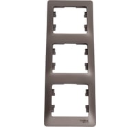 Рамка Systeme Electric (Schneider Electric) Glossa Графит 3-ая, вертикальная SE GSL001307 5 шт 53606481209028