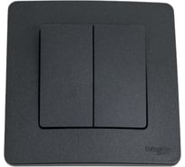 Переключатель Systeme Electric (Schneider Electric) Blanca внутр антрацит 2-клавишный, 10А, 250B SE BLNVS106606 10 шт 13606481195552
