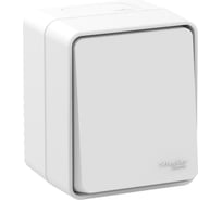 1-клавишный переключатель Systeme Electric (Schneider Electric) AtlasDesign PROFI IP54 О/У 10 АХ, белый ATN540161 12 шт 13606481094725