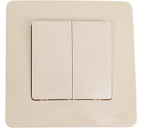 Переключатель Systeme Electric (Schneider Electric) Blanca с/у 2-клавишный (cх.6+6), 10а, 250b, бежевый BLNVS106607 10 шт 13606489776043