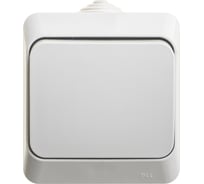 Переключатель Systeme Electric (Schneider Electric) 1-клавишный, ОП Этюд 10А IP44 сер. BA10-046C 14 шт 4690201010555