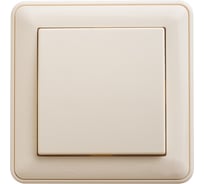 Переключатель Systeme Electric Wessen 59 aqua слоновая кость 1-клавишный, 10ax, ip44, (в сборе с рамкой) VS610-156B-28 10 шт 13606485439119