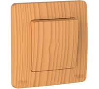 Переключатель Systeme Electric Blanca скрытая установка ясень 1-клавишный IP44 (сх.6), 10A, 250В BLNVS410605 10 шт 4690201022381