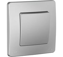 Переключатель Systeme Electric Blanca скрытая установка алюминий 1 клавишный IP44 (сх.6), 10A, 250В BLNVS410603 10 шт 4690201022343