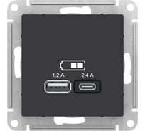 Розетка Systeme Electric (Schneider Electric) AtlasDesign Карбон USB A+С, 5В/2,4А, 2х5В/1,2 А ATN001039 8 шт 13606489710900