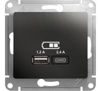 Розетка Systeme Electric (Schneider Electric) Glossa Антрацит USB A+С, 5В/2,4А, 2x5В/1,2 А GSL000739 8 шт 13606485436538
