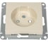 Розетка Systeme Electric (Schneider Electric) AtlasDesign Беж б/з со шторками, 16А, механизм SE ATN000249 20 шт 13606489583641 1