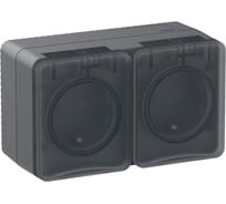 Розетка Systeme Electric (Schneider Electric) AtlasDesign PROFI IP54 O/У двойная с заземлением со шт.16А 250B ATN544026 6 шт 13606482044842