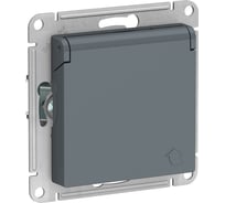 Розетка Systeme Electric (Schneider Electric) AtlasDesign Грифель с/з, со шторками, с крышкой, 16А SE ATN000746 10 шт 13606489702462
