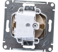 Розетка Systeme Electric (Schneider Electric) AtlasDesign Шампань с/з, со шторками, с крышкой, 16А ATN000546 10 шт 13606489584792