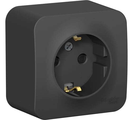 Розетка Systeme Electric (Schneider Electric) Blanca наруж Антрацит с/з со шторками 16А, 250В SE BLNRA011116 12 шт 13606481197150 1