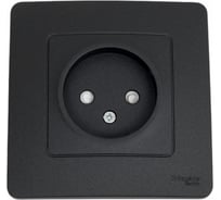 Розетка Systeme Electric (Schneider Electric) Blanca внутр Антрацит б/з со шторками, 16А, 250В SE BLNRS000116 10 шт 13606481195576