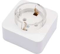 Розетка Systeme Electric (Schneider Electric) Blanca наруж Молочная с/з без шторок,тонкая 16А, 250В SE BLNRA110112 12 шт 13606481198157