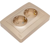 Розетка Systeme Electric (Schneider Electric) Blanca внутр Титан 2-ая с/з без шторок, 16А, 250В SE BLNRS001024 6 шт 13606481195392