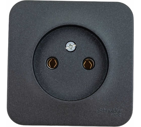 Розетка Systeme Electric (Schneider Electric) Blanca наруж Антрацит б/з без шторок 16А, 250В SE BLNRA000116 18 шт 13606481197129 1