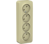 Розетка Systeme Electric (Schneider Electric) Blanca наруж Беж 4-ая б/з без шторок, изолир. пластина SE BLNRA000417 5 шт 13606489776364