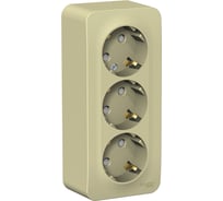 Розетка Systeme Electric (Schneider Electric) Blanca наруж Беж 3-ая с/з со шторками, изолир. пластина SE BLNRA011317 5 шт 13606489776357