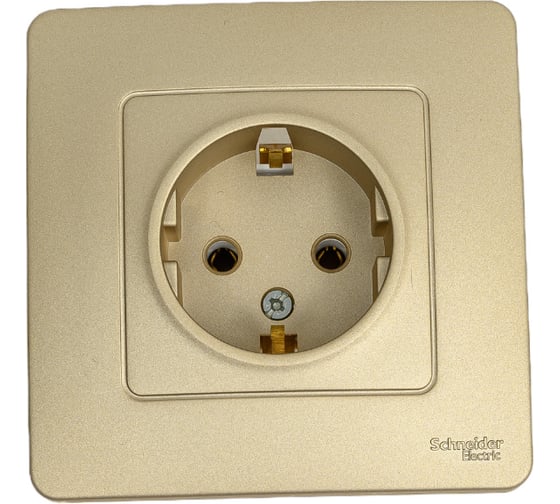 Розетка Systeme Electric (Schneider Electric) Blanca внутр Титан с/з без шторок, 16А, 250В SE BLNRS001014 10 шт 13606481195354 1