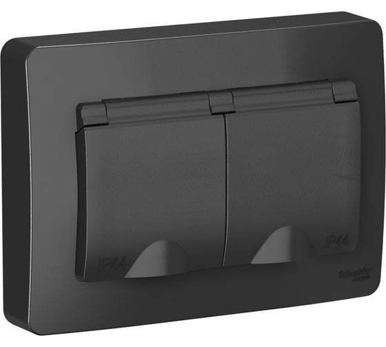 Розетка Systeme Electric (Schneider Electric) Blanca внутр Антрацит 2-ая с/з IP44 со шторками, 16А, 250В SE BLNRS441126 5 шт 13606481280173 1