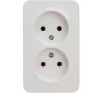 Розетка Systeme Electric (Schneider Electric) Blanca наруж Бел 2-ая б/з без шторок, 16А, 250В SE BLNRA000221 10 шт 13606481198119