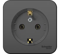 Розетка Systeme Electric (Schneider Electric) Blanca наруж Антрацит с/з без шторок, тонкая 16А, 250В SE BLNRA110116 12 шт 13606481198218