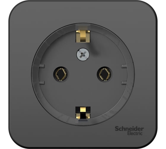 Розетка Systeme Electric (Schneider Electric) Blanca наруж Антрацит с/з без шторок, тонкая 16А, 250В SE BLNRA110116 12 шт 13606481198218 1